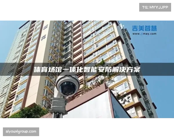 智能安防系统助力体育赛事秩序与信号安全