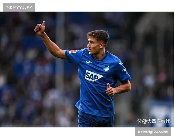 霍芬海姆进攻端创造力充足，但防守专注度需要提升